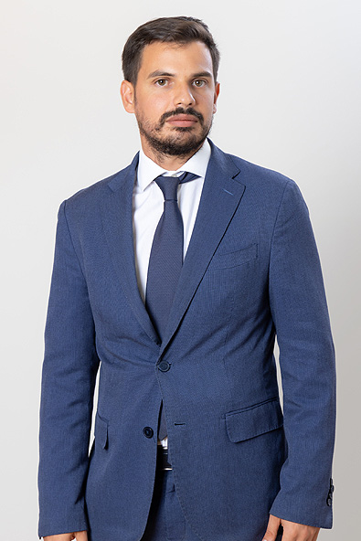 simone darrigo cv